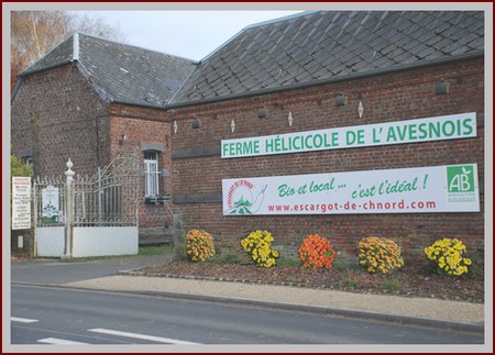 Élevage d'escargots de la Ferme Hélicicole de l'Avesnois (Nord). Recettes d'escargots bio, labyrinthe pédagogique